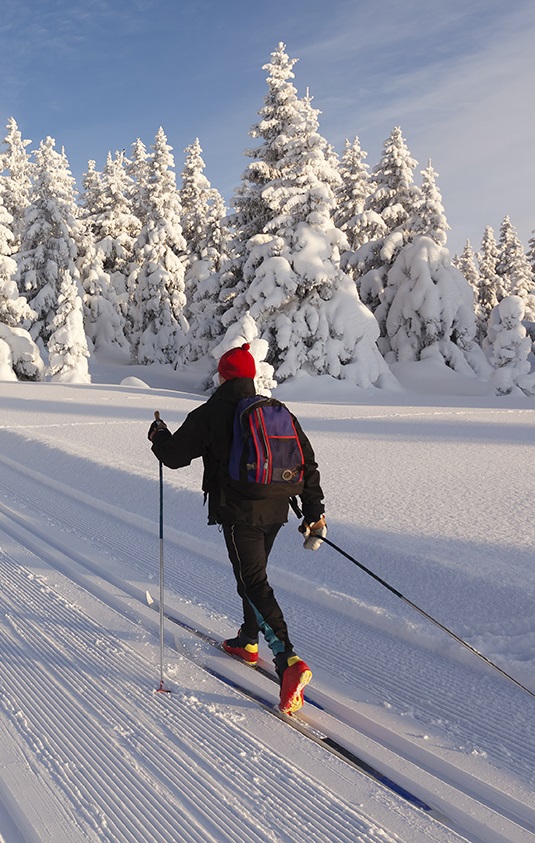 Ski de fond – sentierdescaps